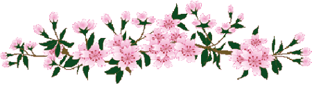 ♥  سیمین صدیق ابراهیم نیا  ♥ ♥  باشگاه علمی تخصصی یوگا پرنده آزاد کرج ♥