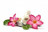خانه یوگا, یوگا کرج, یوگا البرز, یوگاکرج, پرنده آزاد یوگا, کلاس یوگا, مرکز تخصصی یوگا, yoga, meditation, یوگا در کرج, آرامش با یوگا, یوگا درمانی, تعادل در یوگا, کلاس یوگا, یوگا, آساناهای یوگا, یوگاکرج, یوگا کرج, یوگا عظیمیه, کرج, باشگاه یوگا, Yoga International, یوگا برای بانوان, باشگاه یوگا پرنده آزاد, یوگای خوب, مدیتیشن, یوگا استان البرز, یوگا البرز, یوگاالبرز, باشگاه یوگا, مرکز یوگا بانوان, یوگا عظیمیه, یوگاگوهردشت, باشگاه برتر البرز, یوگای برگزیده البرز, باشگاه برتر کرج, باشگاه برگزیده البرز, Asana