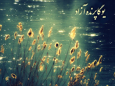 !باشگاه یوگای علمی کرج!باشگاه یوگا پرنده آزاد کرج!سوره الحدید !سفر زیبای زندگی!حضور! حس حضور دائمی خداوند! آکادمی یوگادر کرج!باکتی یوگا!کارما یوگا!جنانا یوگا!خودسازی!خودشناسی!خداشناسی!مکان تخصصی یوگادر عظیمیه کرج!مرکز یوگای استان البرز!