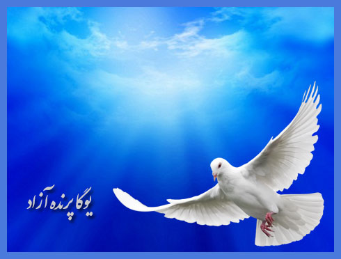 ♥ داستان های آموزنده ♥ پرنده ای به رسالت مبعوث شد ♥ ♥ باشگاه یوگای علمی کرج ♥ آکادمی یوگا در کرج ♥ مکان تخصصی یوگا در عظیمیه کرج ♥ مرکز یوگای استان البرز♥ عرفان نظرآهاری ♥ 