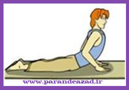 ,بوجانگ آسانا,Bhujang asana ,Cobra,مار کبری,باشگاه یوگا,چاکرادرمانی,یوگادرمانی,یوگا,آموزش یوگا در کرج, کلاس یوگا در کرج, باشگاه یوگا در کرج, یوگا, یوگاکرج, یوگا کرج ,یوگا در کرج, یوگا عظیمیه, باشگاه یوگا, مدیتیشن, مراقبه, یوگا برای بانوان, یوگا البرز,yoga, Meditation, یوگا استان البرز, یوگای بانوان کرج, یوگاالبرز, یوگا در البرز, ریلکسیشن, تنفس درمانی, آرامش درمانی , باشگاه یوگا کرج, یوگاعظیمیه, یوگا عظیمیه, یوگامهرشهر, یوگا مهرشهر, یوگا گوهردشت, یوگاگوهردشت, یوگا البرز, یوگا, کلاس یوگا, یاشگاه بانوان, یوگای تخصصی کرج, باشگاه یوگاکرج, یوگای خوب, یوگا البرز, باشگاه برتر کرج, باشگاه برگزیده البرز, مرکز یوگای استان البرز,یوگا, کلاس یوگا, یاشگاه بانوان,راه یوگا,سیمین صدیق ابراهیم نیا,پرنده آزاد یوگا,