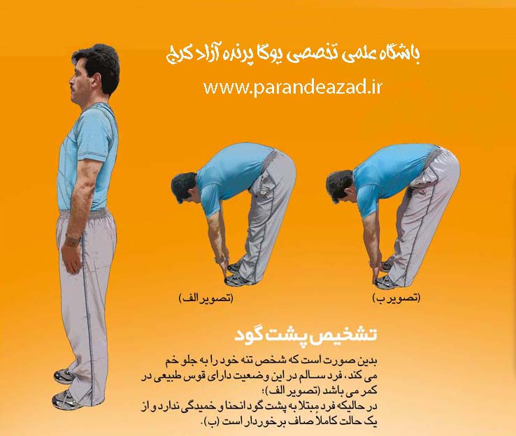  ,هیپرلوردوزیس,گودی کمر,حرکات اصلاحی,باشگاه یوگا,چاکرادرمانی,یوگادرمانی,یوگا,آموزش یوگا در کرج, کلاس یوگا در کرج, باشگاه یوگا در کرج, یوگا, یوگاکرج, یوگا کرج ,یوگا در کرج, یوگا عظیمیه, باشگاه یوگا, مدیتیشن, مراقبه, یوگا برای بانوان, یوگا البرز,yoga, Meditation, یوگا استان البرز, یوگای بانوان کرج, یوگاالبرز, یوگا در البرز, ریلکسیشن, تنفس درمانی, آرامش درمانی , باشگاه یوگا کرج, یوگاعظیمیه, یوگا عظیمیه, یوگامهرشهر, یوگا مهرشهر, یوگا گوهردشت, یوگاگوهردشت, یوگا البرز, یوگا, کلاس یوگا, یاشگاه بانوان, یوگای تخصصی کرج, باشگاه یوگاکرج, یوگای خوب, یوگا البرز, باشگاه برتر کرج, باشگاه برگزیده البرز, مرکز یوگای استان البرز,یوگا, کلاس یوگا, یاشگاه بانوان,راه یوگا,سیمین صدیق ابراهیم نیا,پرنده آزاد یوگا,