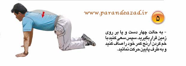 ,هیپرلوردوزیس,گودی کمر,حرکات اصلاحی,باشگاه یوگا,چاکرادرمانی,یوگادرمانی,یوگا,آموزش یوگا در کرج, کلاس یوگا در کرج, باشگاه یوگا در کرج, یوگا, یوگاکرج, یوگا کرج ,یوگا در کرج, یوگا عظیمیه, باشگاه یوگا, مدیتیشن, مراقبه, یوگا برای بانوان, یوگا البرز,yoga, Meditation, یوگا استان البرز, یوگای بانوان کرج, یوگاالبرز, یوگا در البرز, ریلکسیشن, تنفس درمانی, آرامش درمانی , باشگاه یوگا کرج, یوگاعظیمیه, یوگا عظیمیه, یوگامهرشهر, یوگا مهرشهر, یوگا گوهردشت, یوگاگوهردشت, یوگا البرز, یوگا, کلاس یوگا, یاشگاه بانوان, یوگای تخصصی کرج, باشگاه یوگاکرج, یوگای خوب, یوگا البرز, باشگاه برتر کرج, باشگاه برگزیده البرز, مرکز یوگای استان البرز,یوگا, کلاس یوگا, یاشگاه بانوان,راه یوگا,سیمین صدیق ابراهیم نیا,پرنده آزاد یوگا,
