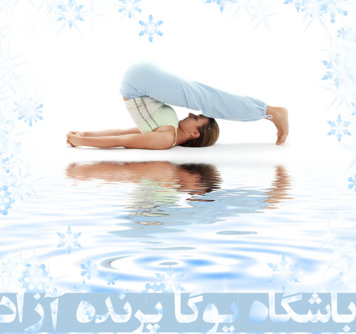 	کلاس یوگاکرج, یوگای استان البرز, هالاسانا, وضعیت گاوآهن, یوگا, ویشودهی چاکرا, مانی پورا چاکرا, آرامش, تحریک غده تیروئید, حفظ جوانی, ,Halasana, Plow, Yoga,آموزش یوگا در کرج, کلاس یوگا در کرج, باشگاه یوگا در کرج, یوگا, یوگاکرج, یوگا کرج ,یوگا در کرج, یوگا عظیمیه, باشگاه یوگا, Yoga, یوگا برای بانوان, یوگا البرز,yoga,  مدیتیشن, یوگا استان البرز, یوگای بانوان کرج, یوگاالبرز, باشگاه یوگا, یوگا در البرز,