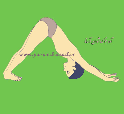 آموزش یوگا در کرج,باشگاه یوگا در کرج,کلاس یوگا در کرج, یوگا, yOGA, استان البرز, باشگاه تخصصی یوگا پرنده آزاد کرج, تمرينات فيزيکی یوگا, مخصوص مراقبت از پاها, تادآسانا, میراسانا, واجرآسانا, آدوموکهاشوان آسانا, ويرابهادرآسانا, درمان صافي کف پا, تقویت عضلات نگهدارنده کف پاها, 