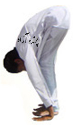 سوریاناماسکارا, Asana, yoga, آسانا, کلاس یوگا در کرج, یوگای تخصصی استان البرز, بهترین باشگاه کرج, باشگاه, یوگا در البرز, باشگاه برتر کرج, باشگاه برگزیده البرز, آموزش یوگا در کرج, کلاس یوگا در کرج, باشگاه یوگا در کرج, یوگا, یوگاکرج, یوگا کرج, یوگا در کرج, یوگا عظیمیه, باشگاه یوگا, یوگا برای بانوان, یوگا البرز, یوگا استان البرز, یوگای بانوان کرج, یوگاالبرز, پرنده آزاد یوگا, Sun Salutation Pose, سلام بر خورشید, SURYA NAMASKAR, یوگاتخصصی بانوان