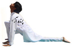 سوریاناماسکارا, Asana, yoga, آسانا, کلاس یوگا در کرج, یوگای تخصصی استان البرز, بهترین باشگاه کرج, باشگاه, یوگا در البرز, باشگاه برتر کرج, باشگاه برگزیده البرز, آموزش یوگا در کرج, کلاس یوگا در کرج, باشگاه یوگا در کرج, یوگا, یوگاکرج, یوگا کرج, یوگا در کرج, یوگا عظیمیه, باشگاه یوگا, یوگا برای بانوان, یوگا البرز, یوگا استان البرز, یوگای بانوان کرج, یوگاالبرز, پرنده آزاد یوگا, Sun Salutation Pose, سلام بر خورشید, SURYA NAMASKAR, یوگاتخصصی بانوان