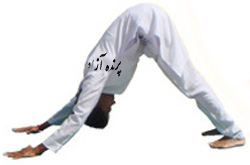 سوریاناماسکارا, Asana, yoga, آسانا, کلاس یوگا در کرج, یوگای تخصصی استان البرز, بهترین باشگاه کرج, باشگاه, یوگا در البرز, باشگاه برتر کرج, باشگاه برگزیده البرز, آموزش یوگا در کرج, کلاس یوگا در کرج, باشگاه یوگا در کرج, یوگا, یوگاکرج, یوگا کرج, یوگا در کرج, یوگا عظیمیه, باشگاه یوگا, یوگا برای بانوان, یوگا البرز, یوگا استان البرز, یوگای بانوان کرج, یوگاالبرز, پرنده آزاد یوگا, Sun Salutation Pose, سلام بر خورشید, SURYA NAMASKAR, یوگاتخصصی بانوان