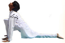 سوریاناماسکارا, Asana, yoga, آسانا, کلاس یوگا در کرج, یوگای تخصصی استان البرز, بهترین باشگاه کرج, باشگاه, یوگا در البرز, باشگاه برتر کرج, باشگاه برگزیده البرز, آموزش یوگا در کرج, کلاس یوگا در کرج, باشگاه یوگا در کرج, یوگا, یوگاکرج, یوگا کرج, یوگا در کرج, یوگا عظیمیه, باشگاه یوگا, یوگا برای بانوان, یوگا البرز, یوگا استان البرز, یوگای بانوان کرج, یوگاالبرز, پرنده آزاد یوگا, Sun Salutation Pose, سلام بر خورشید, SURYA NAMASKAR, یوگاتخصصی بانوان