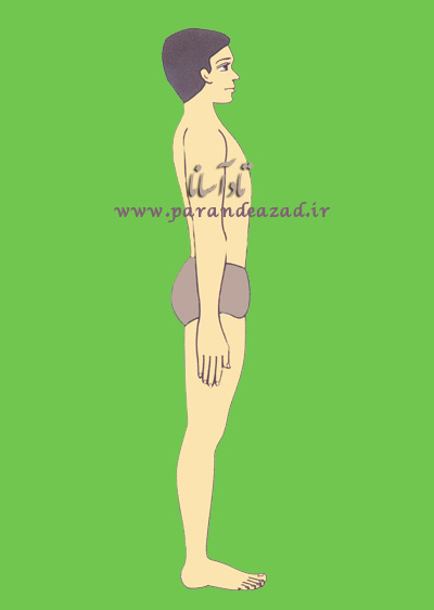 آموزش یوگا در کرج,باشگاه یوگا در کرج,کلاس یوگا در کرج, یوگا, yOGA, استان البرز, باشگاه تخصصی یوگا پرنده آزاد کرج, تمرينات فيزيکی یوگا, مخصوص مراقبت از پاها, تادآسانا, میراسانا, واجرآسانا, آدوموکهاشوان آسانا, ويرابهادرآسانا, درمان صافي کف پا, تقویت عضلات نگهدارنده کف پاها, 