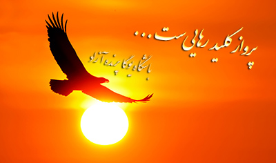 رهایی  پرواز  آزادی  دوری از وابستگی پرنده آزاد منظومه عقاب دکتر پرویز ناتل خانلری زندگی در اوج باشگاه یوگا پرنده آزاد