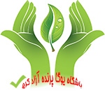 ,یوگا در طبیعت,حفظ محیط زیست,یوگا,آموزش یوگا در کرج, کلاس یوگا در کرج, باشگاه یوگا در کرج, یوگا,باشگاه برتر کرج,بهترین باشگاه, ,یوگا در طبیعت,حفظ محیط زیست,یوگا,آموزش یوگا در کرج, کلاس یوگا در کرج, باشگاه یوگا در کرج, یوگا,باشگاه برتر کرج,بهترین باشگاه,