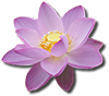 ,یوگا,آموزش یوگا در کرج, کلاس یوگا در کرج, باشگاه یوگا در کرج, یوگا,