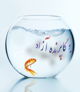 استان البرز باشگاه تخصصی یوگا پرنده آزاد کرج سیمین صدیق ابراهیم نیا ، مطالب مرتبط : داستان ماهی    
