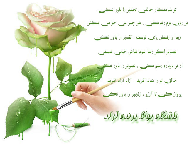 یوگا استان البرز+باشگاه علمی تخصصی یوگا چی کنگ تای چی پرنده آزادکرج+سیمین صدیق ابراهیم نیا+freebirdyoga