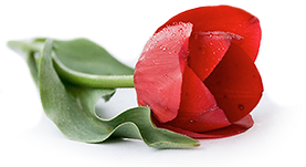 ,هاتف اصفهانی,یوگا,باشگاه یوگا,چاکرادرمانی,یوگادرمانی,آموزش یوگا در کرج, کلاس یوگا در کرج, باشگاه یوگا در کرج, یوگا, یوگاکرج, یوگا کرج ,یوگا در کرج, یوگا عظیمیه, باشگاه یوگا, مدیتیشن, مراقبه, یوگا برای بانوان, یوگا البرز,yoga, Meditation, یوگا استان البرز, یوگای بانوان کرج, یوگاالبرز, یوگا در البرز, ریلکسیشن, تنفس درمانی, آرامش درمانی , باشگاه یوگا کرج, یوگاعظیمیه, یوگا عظیمیه, یوگامهرشهر, یوگا مهرشهر, یوگا گوهردشت, یوگاگوهردشت, یوگا البرز, یوگا, کلاس یوگا, یاشگاه بانوان, یوگای تخصصی کرج, باشگاه یوگاکرج, یوگای خوب, یوگا البرز, باشگاه برتر کرج, باشگاه برگزیده البرز, مرکز یوگای استان البرز,یوگا, کلاس یوگا, یاشگاه بانوان,راه یوگا,سیمین صدیق ابراهیم نیا,پرنده آزاد یوگا,