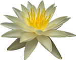  !Yoga Center!!دعای وداع با ماه رمضان!مرکز یوگای استان البرز!پرنده آزاد یوگا!صحیفه سجادیه!امام سجاد (ع)!عید سعید فطر!نیایش!راز و نیاز با خداوند!yoga!