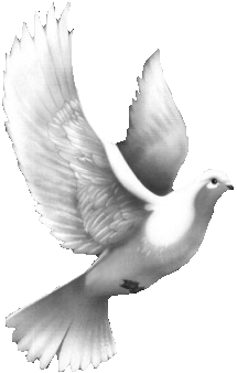 ,یوگا, صلح جهانی, یوگاکرج, یوگا کرج ,یوگا در کرج, یوگا عظیمیه, کرج کلاس یوگا, باشگاه یوگا, Yoga, International Yoga, یوگا برای بانوان, باشگاه یوگا پرنده آزاد, یوگا البرز,yoga, meditation,  مدیتیشن, یوگا استان البرز, یوگای بانوان کرج, یوگاالبرز, باشگاه یوگا, باشگاه یوگا بانوان, یوگا عظیمیه, یوگا جهانشهر, یوگا مهرشهر, یوگا گوهردشت, یوگای خوب, یوگا در البرز, باشگاه برتر کرج, باشگاه برگزیده البرز,باشگاه نمونه, مربی نمونه کشور, سیمین صدیق, پرنده آزاد یوگا,