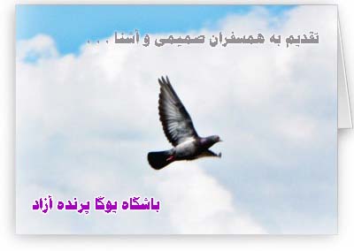 باشگاه یوگا پرنده آزاد+آکادمی یوگا پرنده آزاد+کانون یوگا پرنده آزاد کرج+ هوشنگ ابتهاج+ه.الف.سایه      