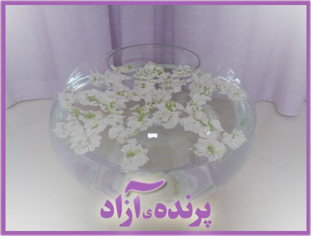 parandeazad9