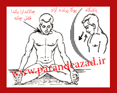تنفس اوجائي, تفس تکبری,,پرانایاما,تمرینات تنفسی یوگا,پرنده آزاد یوگا ,یوگا, باشگاه یوگا, چاکرادرمانی,آموزش یوگا در کرج,کلاس یوگا در کرج, باشگاه یوگا در کرج,یوگاکرج, یوگا کرج,یوگا عظیمیه,مدیتیشن,مراقبه, یوگا برای بانوان, یوگا البرز, یوگا استان البرز,یوگاالبرز,یوگای خوب,باشگاه برتر کرج, باشگاه برگزیده البرز,یوگای تخصصی, تنفس اوجائي, تفس تکبری,,پرانایاما,تمرینات تنفسی یوگا,پرنده آزاد یوگا ,یوگا, باشگاه یوگا, چاکرادرمانی,آموزش یوگا در کرج,کلاس یوگا در کرج, باشگاه یوگا در کرج,یوگاکرج, یوگا کرج,یوگا عظیمیه,مدیتیشن,مراقبه, یوگا برای بانوان, یوگا البرز, یوگا استان البرز,یوگاالبرز,یوگای خوب,باشگاه برتر کرج, باشگاه برگزیده البرز,یوگای تخصصی,