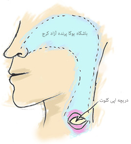 تنفس اوجائي, تفس تکبری,,پرانایاما,تمرینات تنفسی یوگا,پرنده آزاد یوگا ,یوگا, باشگاه یوگا, چاکرادرمانی,آموزش یوگا در کرج,کلاس یوگا در کرج, باشگاه یوگا در کرج,یوگاکرج, یوگا کرج,یوگا عظیمیه,مدیتیشن,مراقبه, یوگا برای بانوان, یوگا البرز, یوگا استان البرز,یوگاالبرز,یوگای خوب,باشگاه برتر کرج, باشگاه برگزیده البرز,یوگای تخصصی, تنفس اوجائي, تفس تکبری,,پرانایاما,تمرینات تنفسی یوگا,پرنده آزاد یوگا ,یوگا, باشگاه یوگا, چاکرادرمانی,آموزش یوگا در کرج,کلاس یوگا در کرج, باشگاه یوگا در کرج,یوگاکرج, یوگا کرج,یوگا عظیمیه,مدیتیشن,مراقبه, یوگا برای بانوان, یوگا البرز, یوگا استان البرز,یوگاالبرز,یوگای خوب,باشگاه برتر کرج, باشگاه برگزیده البرز,یوگای تخصصی,