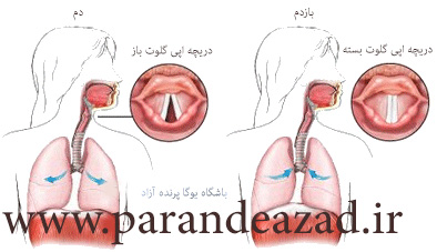 تنفس اوجائي, تفس تکبری,,پرانایاما,تمرینات تنفسی یوگا,پرنده آزاد یوگا ,یوگا, باشگاه یوگا, چاکرادرمانی,آموزش یوگا در کرج,کلاس یوگا در کرج, باشگاه یوگا در کرج,یوگاکرج, یوگا کرج,یوگا عظیمیه,مدیتیشن,مراقبه, یوگا برای بانوان, یوگا البرز, یوگا استان البرز,یوگاالبرز,یوگای خوب,باشگاه برتر کرج, باشگاه برگزیده البرز,یوگای تخصصی, تنفس اوجائي, تفس تکبری,,پرانایاما,تمرینات تنفسی یوگا,پرنده آزاد یوگا ,یوگا, باشگاه یوگا, چاکرادرمانی,آموزش یوگا در کرج,کلاس یوگا در کرج, باشگاه یوگا در کرج,یوگاکرج, یوگا کرج,یوگا عظیمیه,مدیتیشن,مراقبه, یوگا برای بانوان, یوگا البرز, یوگا استان البرز,یوگاالبرز,یوگای خوب,باشگاه برتر کرج, باشگاه برگزیده البرز,یوگای تخصصی,