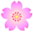 ا,یوگا,آموزش یوگا در کرج, کلاس یوگا در کرج, باشگاه یوگا در کرج, یوگا,