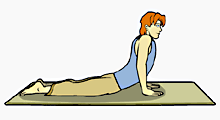 ,Cobra Pose,Bhujangasana, بهوجانگ آسانا,وضعیت مار کبری,باشگاه علمی تخصصی یوگا پرنده آزاد کرج, ,Cobra Pose,Bhujangasana, بهوجانگ آسانا,وضعیت مار کبری,باشگاه علمی تخصصی یوگا پرنده آزاد کرج,
