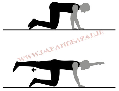 ,باشگاه یوگا,چاکرادرمانی,یوگادرمانی,یوگا,آموزش یوگا در کرج, کلاس یوگا در کرج, باشگاه یوگا در کرج, یوگا, یوگاکرج, یوگا کرج ,یوگا در کرج, یوگا عظیمیه, باشگاه یوگا, مدیتیشن, مراقبه, یوگا برای بانوان, یوگا البرز,yoga, Meditation, یوگا استان البرز, یوگای بانوان کرج, یوگاالبرز, یوگا در البرز, ریلکسیشن, تنفس درمانی, آرامش درمانی , باشگاه یوگا کرج, یوگاعظیمیه, یوگا عظیمیه, یوگامهرشهر, یوگا مهرشهر, یوگا گوهردشت, یوگاگوهردشت, یوگا البرز, یوگا, کلاس یوگا, یاشگاه بانوان, یوگای تخصصی کرج, باشگاه یوگاکرج, یوگای خوب, یوگا البرز, باشگاه برتر کرج, باشگاه برگزیده البرز, مرکز یوگای استان البرز,یوگا, کلاس یوگا, یاشگاه بانوان,راه یوگا,سیمین صدیق ابراهیم نیا,پرنده آزاد یوگا,وضعیت گربه,مارجری آسانا,Marjariasana, 
