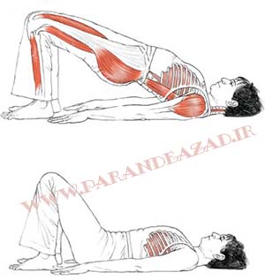 ,باشگاه یوگا,چاکرادرمانی,یوگادرمانی,یوگا,آموزش یوگا در کرج, کلاس یوگا در کرج, باشگاه یوگا در کرج, یوگا, یوگاکرج, یوگا کرج ,یوگا در کرج, یوگا عظیمیه, باشگاه یوگا, مدیتیشن, مراقبه, یوگا برای بانوان, یوگا البرز,yoga, Meditation, یوگا استان البرز, یوگای بانوان کرج, یوگاالبرز, یوگا در البرز, ریلکسیشن, تنفس درمانی, آرامش درمانی , باشگاه یوگا کرج, یوگاعظیمیه, یوگا عظیمیه, یوگامهرشهر, یوگا مهرشهر, یوگا گوهردشت, یوگاگوهردشت, یوگا البرز, یوگا, کلاس یوگا, یاشگاه بانوان, یوگای تخصصی کرج, باشگاه یوگاکرج, یوگای خوب, یوگا البرز, باشگاه برتر کرج, باشگاه برگزیده البرز, مرکز یوگای استان البرز,یوگا, کلاس یوگا, یاشگاه بانوان,راه یوگا,سیمین صدیق ابراهیم نیا,پرنده آزاد یوگا,وضعیت پل,ستوابانداسانا,Setubandasana,